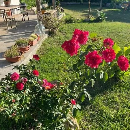 בית נופש Casa Mulinazzo צ'יניזי