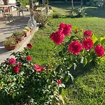 Tatil Evi Casa Mulinazzo Cinisi